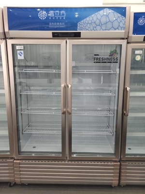 Display Cabinet Double Door Fresh Keeping Cabinet