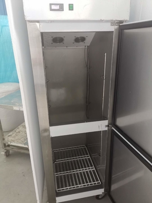 Stainless Steel Sliding Sliding Glass Freezer High capacity