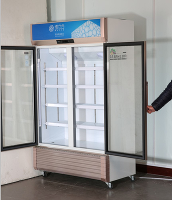 Supermarket Cold Drink Display Fridge Double Door 738L
